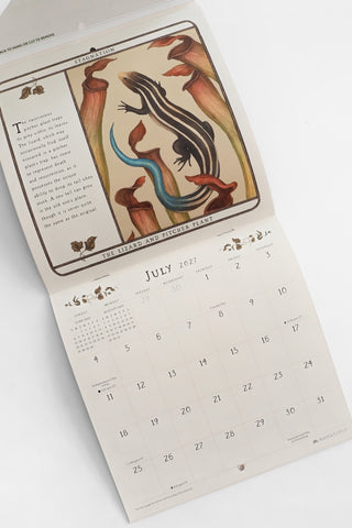 Woodland Wardens 2027 Mini Wall Calendar