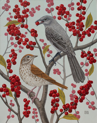 Wood Thrush and Northern Mockingbird on Winterberry