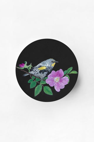 Yellow-Rumped Warbler & Rose