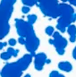 Blue  Splatter