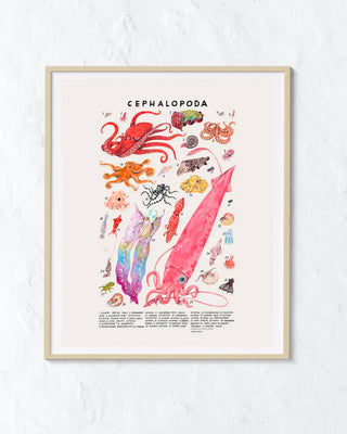 Creatures of the Order: Cephalopod Print