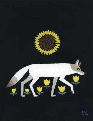 Coyote