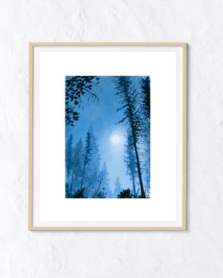 Forest Haze Limited Edition Print