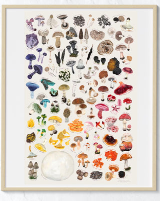 Rainbow of Mushrooms Art Print