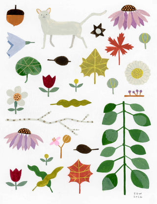 Native Plants & Cat
