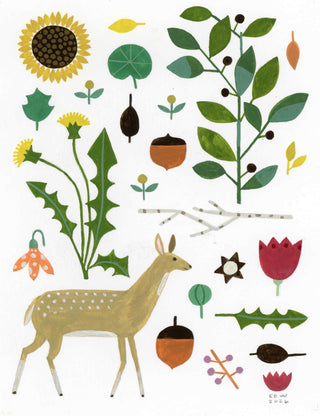 Native Plants & Deer