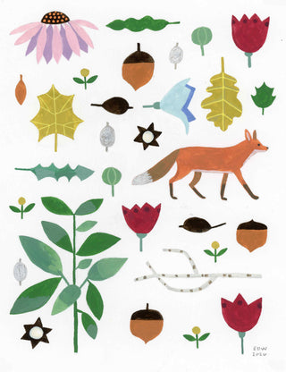 Native Plants & Fox