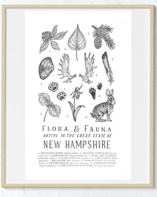 New Hampshire Field Guide Print