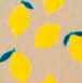 Nude Lemons