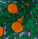 Orange Tree Periwinkle
