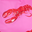 Pink Lobster