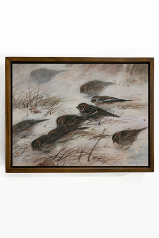 Lapland Longspurs and Snow Bunting