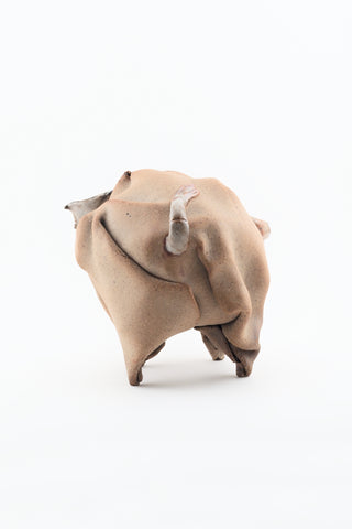 what do we want to call this thing?
