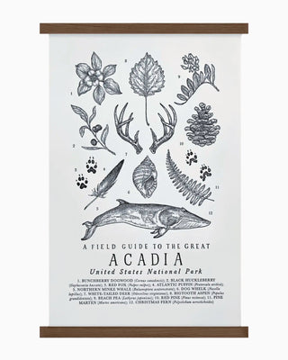 Acadia National Park Field Guide Print