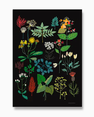 Plant Study Art Print