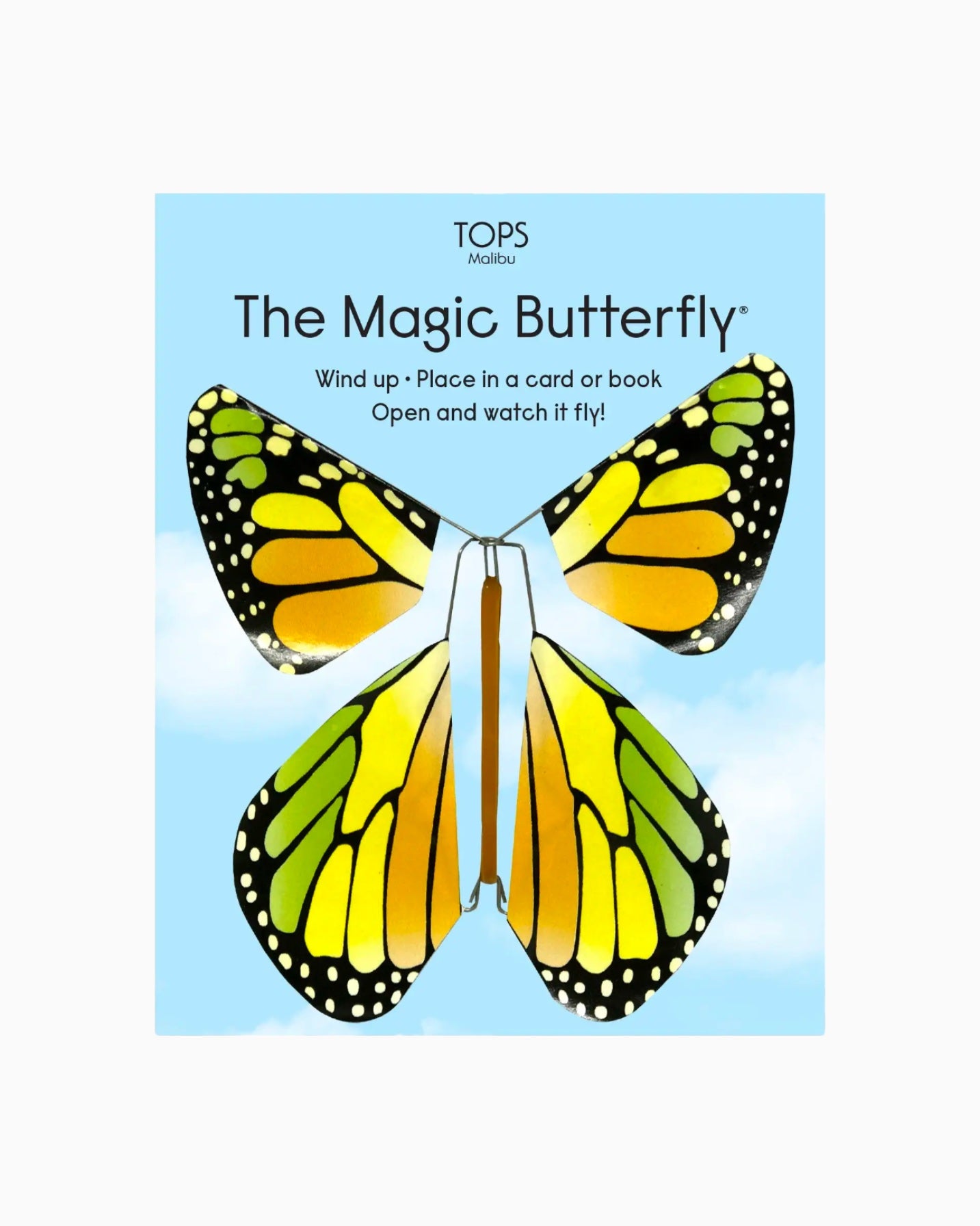 Magic Flying Butterfly – Nahcotta