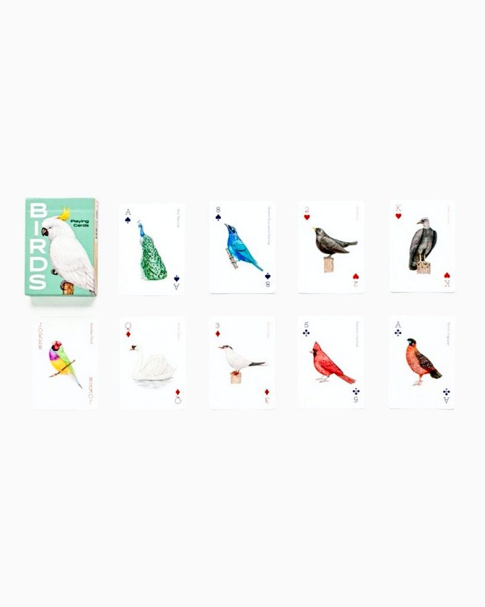 Birds of the World Playing Cards Birds of the World Playing Cards